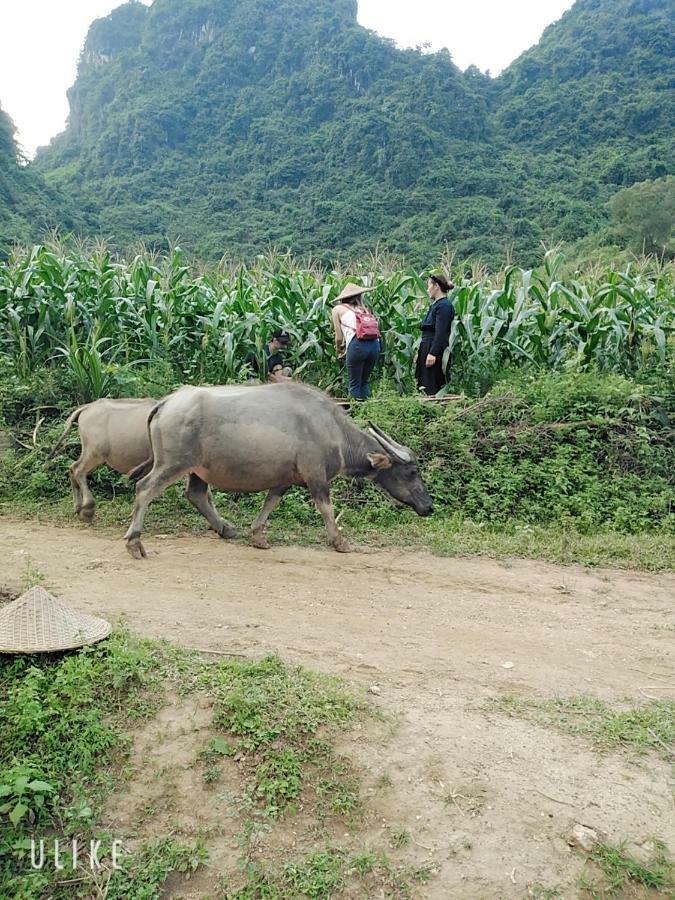 Quang Thuan Homestay Cao Bang Buitenkant foto